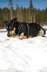 _DSC0138.NEF (Raw)
