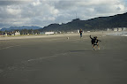 _DSC0045.NEF (Raw)