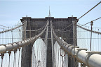 _DSC0015.NEF (Raw)