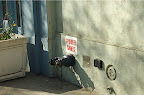 _DSC0096.NEF (Raw)
