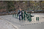 DSC_0104.NEF (Raw)