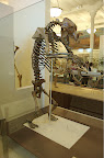 _DSC0026.NEF (Raw)