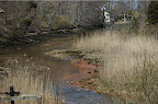 _DSC0018.NEF (Raw)