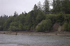 DSC_0059.NEF (Raw)