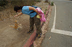 _DSC0044.NEF (Raw)