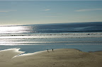 DSC_0077.NEF (Raw)
