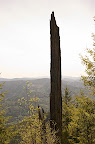 _DSC0130.NEF