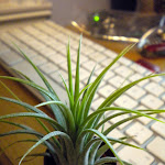 DSCN0057.JPG
