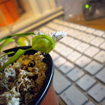 DSCN0060.JPG
