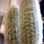 DSCN0066.JPG
