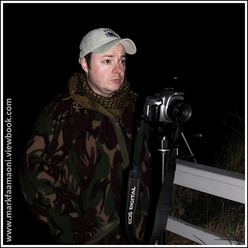 IMAGE: http://lh6.ggpht.com/_a_v5U7guC1c/TFK_Q93clCI/AAAAAAAAdDQ/UG9HzhChxAY/s800/Collages92.jpg