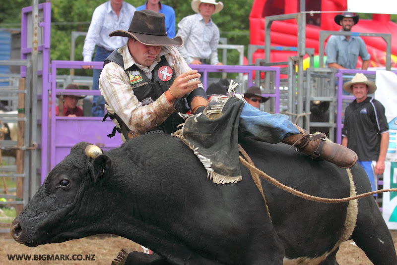 IMAGE: http://lh6.ggpht.com/_a_v5U7guC1c/TO9hsZTdh2I/AAAAAAAAdiw/ZUs5uF90l70/s800/BULLRIDE_0320.JPG