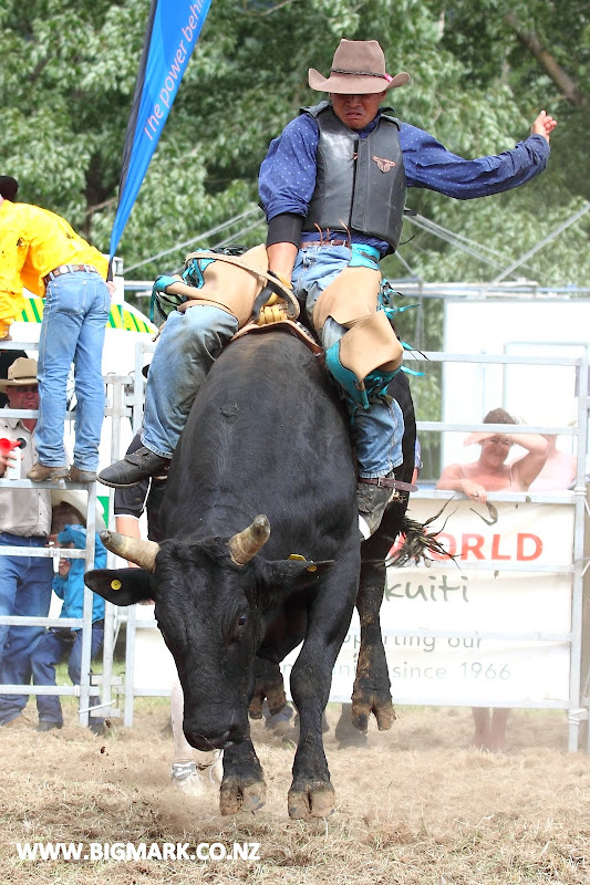 IMAGE: http://lh6.ggpht.com/_a_v5U7guC1c/TO9hvR3l7sI/AAAAAAAAdlg/Um6sp0ouODs/s800/BULLRIDE_0781.JPG