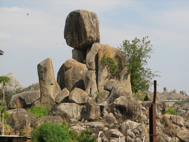 [IMG_32242.jpg]
