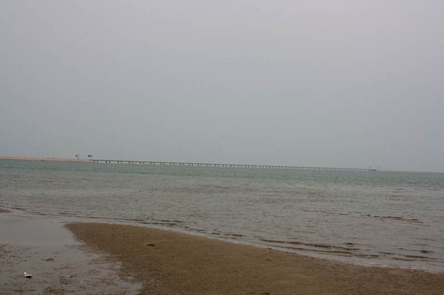 [IMG_63955.jpg]