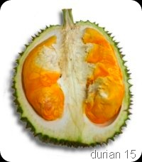 durian6