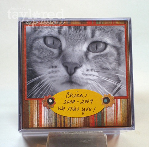[pet cube3.jpg]