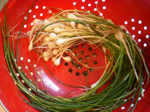 DSCN3911.jpg