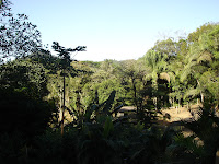 DSC05015.jpg