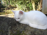 DSC05021.jpg