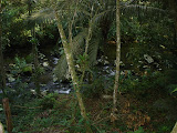 DSC05028.jpg