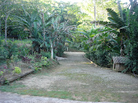 DSC05037.jpg