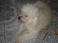 DSC05044.jpg
