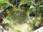 DSC05057.jpg