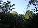 DSC05110.jpg DSC05110.jpg