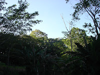 DSC05110.jpg