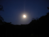 DSC05119.jpg
