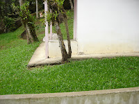 DSC05157.jpg
