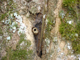 DSC05147.jpg