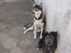 dsc06251.jpg