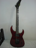 dsc06314.jpg