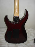dsc06320.jpg