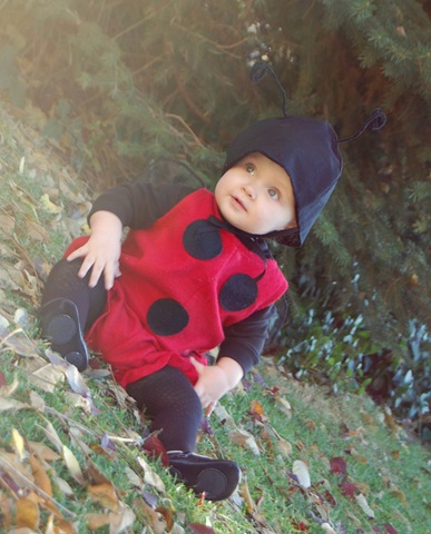 [chuckladybug[16].jpg]