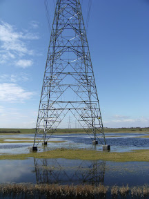 1003140017.JPG Oare Marshes