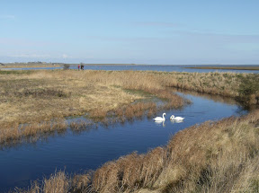 1003140018.JPG Oare Marshes