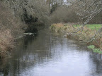 DSCF2717.JPG River Test from Bere Mill bridge