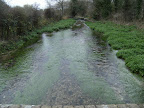 DSCF2709.JPG River Test at Freefolk