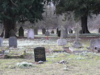 1002110035.JPG Snowdrops in Whitchurch Cemetery