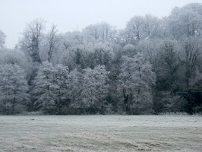 DSCF0015.JPG Frosty morning, Pixham