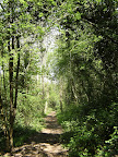 1005120019.JPG From Whyteleafe to Riddlesdown