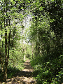 1005120019.JPG From Whyteleafe to Riddlesdown