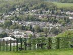 1005120023.JPG Goats at top of Riddlesdown Quarry