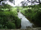1006120011.JPG River Medway at Balls Green
