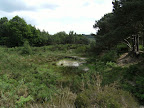 1006120051.JPG Roo s Sandy Pit, Ashdown Forest
