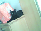 20090802093503.jpg