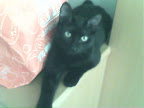 20090802093512.jpg